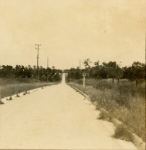 photograph from May 1919 showing a straight rural road leading toward Alturas, bordered by tall grass and utility poles. A small bridge or overpass rises in the distance with Lake Flora visible beyond it. Polk County History Center Collection.